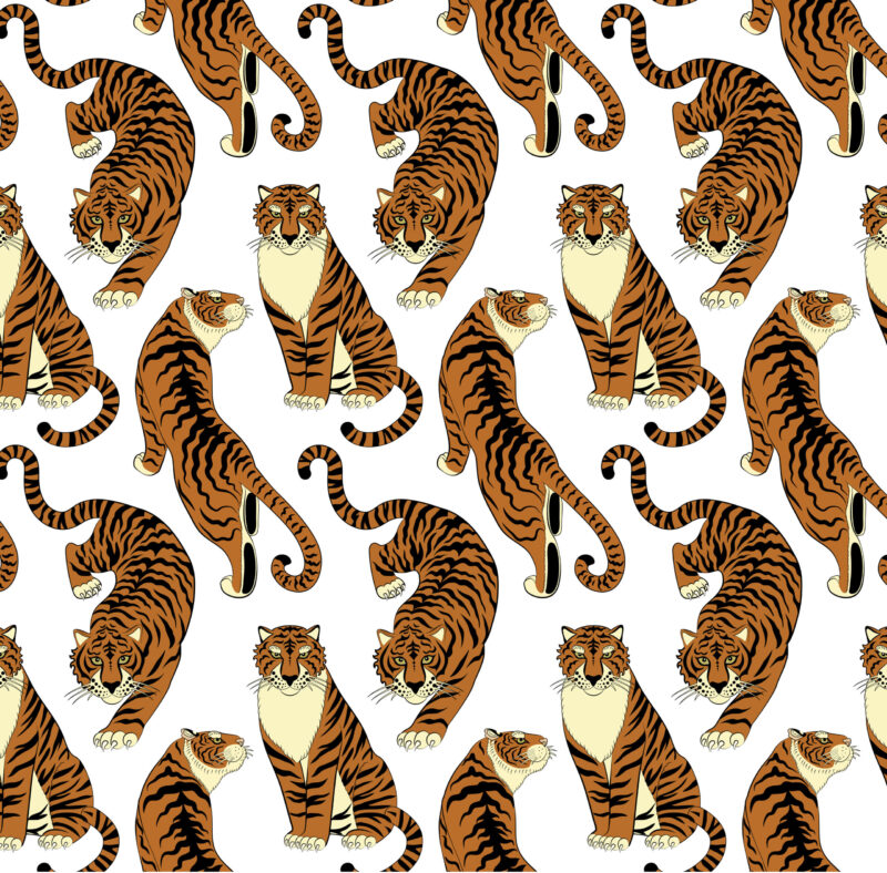 Regal Roar - Image 2